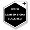 Lean Six Sigma